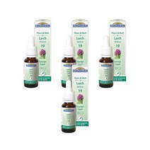 Larch 25ml Biofloral Fleurs De Bach 19, 4팩