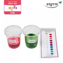 산염기 실험 지시약 양배추 5인 키트 초등교과실험 과학영재실험 방과후학습 과학기자재 고등과학 실험기구