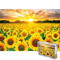퍼즐피플 토이앤퍼즐 풍경 일러스트 직소퍼즐, 노을진 해바라기 500피스, 500p