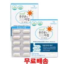 파마젠 유산균의아침 프로바이오틱스 120캡슐김치유산균