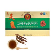 영지 홍삼 갈근 차 3g x 100포, 1개