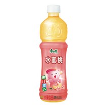 빅판다 중국식품 캉스푸 아이스티 복송아 음료 500ml, 500ml*1개