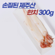 손질된 제주산 한치 300g