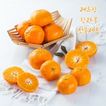 [당일수확배송] 프리미엄 선물세트 레드향 한라봉 2kg 3kg 5kg, 한라봉3kg(선물용 고급) 7-13과
