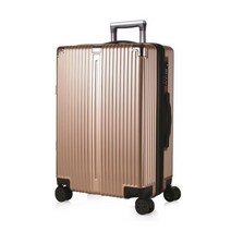 캐리온 체이스 TSA 수하물 24형 확장형 여행가방6002 골드