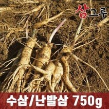 금산인삼 5 6년근 수삼 난발삼 원수삼 세척무료 750g, 무료세척, 원삼 소 750g (15~19뿌리)
