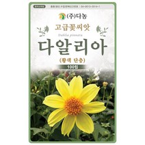 대엽 민들레 1000립 - 야생화 씨앗 꽃씨 씨 꽃씨앗 야생화씨앗 고급꽃씨 고급꽃씨앗 민들레씨 민들레씨앗, 04_다농_다알리아(황색단층)(100립)