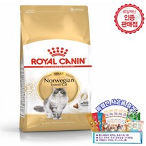 로얄캐닌 캣 노르웨이안 숲 고양이사료 10Kg+Gift Set(츄르 5P+시리얼 4P+수비드)
