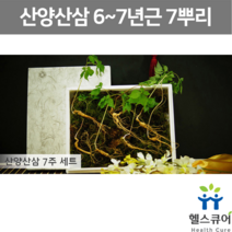 산양삼 6년근 7년근 7뿌리 국내산 산양 장뇌 산삼 장뇌삼 장래삼 사포닌 수삼 자연산 인삼 뿌리 산삼 7주세트
