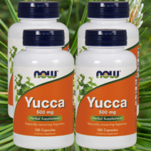 나우 푸드 유카 YUCCA 미국 남서부 사막 허브 500mg 100정 4병, 4개