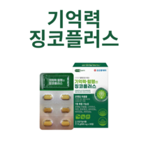 징코플러스 기억력 혈행 영양제 은행잎추출물