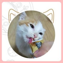 츄르 먹이 고양이 노묘 간식 츄르 참치가리비 60g 개냥이, 상품선택