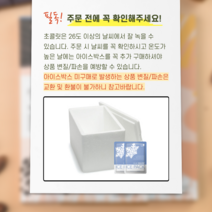 레미레미 무설탕 빈투바 다크 초콜릿 3종, 아이스박스 + 보냉제 2개, 1