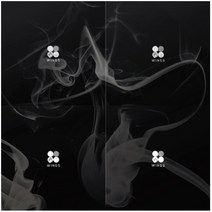 개봉앨범 포토카드 없음 | 방탄소년단 (BTS) - 정규2집 WINGS