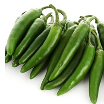 청량고추500g 꽈리 모닝 오이맛고추, 모닝아삭이고추(풋고추), 500g, 1개