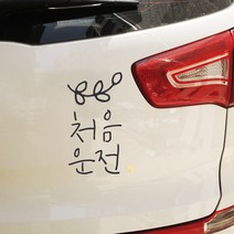 자동차 스티커_심플_처음운전_잎, 진회