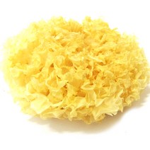 갑당약초 흰목이버섯 은이버섯 500g, 3봉