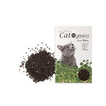 꿈쟁이 캣그라스 밀 귀리 캣닢 씨앗 고양이 캣닙, 1개, 씨앗(캣닢)