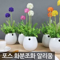 포스아트 포스 화분 조화 알리움, 엘로우