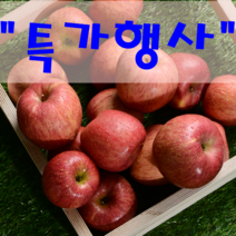 청송 꿀 사과, 10, 10Kg(30-32과), 실속 선물용 (대)