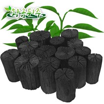 황금뒤주 참숯 백탄 5kg 높이12cm, 1개