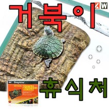 KW 거북이섬 M 돌계단 휴식처, 1개