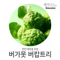 제미니상사 버가못, 1개, 10ml