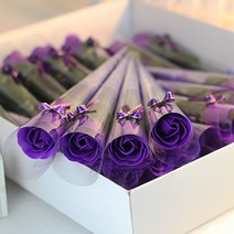 KH 장미비누꽃 한송이, 퍼플