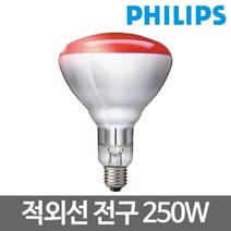 필립스 적외선 IR 전구 램프 BR125 250W