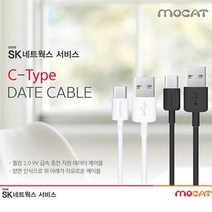 SK C타입 케이블 1m