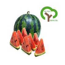 따봉이네과일 수박, 1통, 3-4kg
