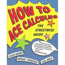 How to Ace Calculus: The Streetwise Guide, Times Books