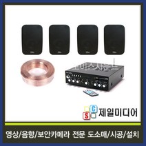 VSSET10 매장스피커 휘트니스센타스피커 인테리어스피커 40평 60평