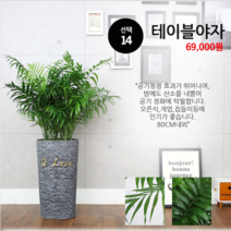 하트앤플라워 49 000원, 14_테이블야자, 1개