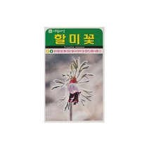 할미꽃씨앗 50립