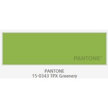 노루페인트 팬톤페인트 다용도용 멀티 300ml, greenery