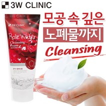 3W클리닉 장미수 폼클렌징 100ml 클렌징 폼, 1개
