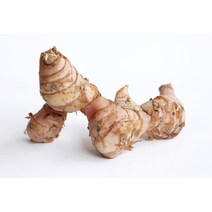 알라딘푸드 갈랑갈 태국 항공직송, 1개, 1kg