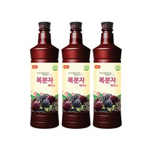 광야 음료 복분자 베이스 970ml x 15개, 단품, 단품