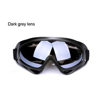 X400 스키고글, 다크그레이렌즈