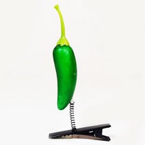 샵베니니 안테나핀