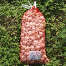 23년 헷마늘 남해마늘 저장용, 1개, 5kg(상품)