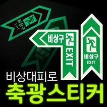 에코라이트 바닥용 비상대피로 축광 스티커, 녹색
