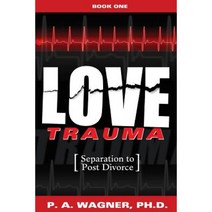 Love Trauma: Separation to Post Divorce Paperback, 3rd Coast Books