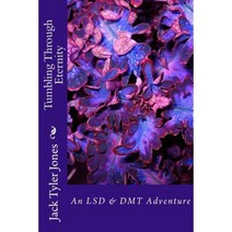Tumbling Through Eternity: An LSD & Dmt Adventure Paperback, Lionfire Entertainment