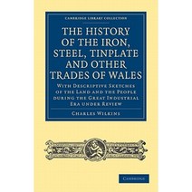The History of the Iron Steel Tinplate and Other Trades of Wales, Cambridge University Press