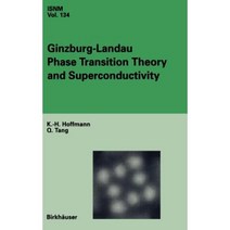 Ginzburg-Landau Phase Transition Theory and Superconductivity Hardcover, Birkhauser