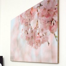꾸밈 tm030-아크릴액자팝콘같은벚꽃(대형) 액자, 2.블러썸