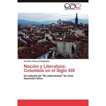 Nacion y Literatura: Colombia En El Siglo XIX Paperback, Eae Editorial Academia Espanola