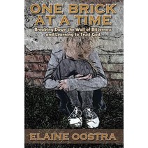 One Brick at a Time: Breaking Down Wall of Bitterness and Learning to Trust God Paperback, Elaine Oostra